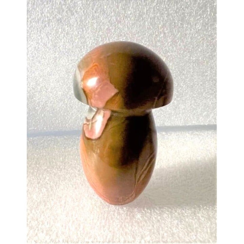 Very Pretty Polychrome Mushroom